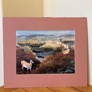 Clarence Tillenius Matted Art Print Pronghorn Antelope at Waterhole Vintage 1962